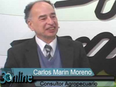 30 online: Qu mrgenes dejar el maz en campo propio y alquilado?; con C. Marn Moreno