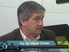 30 online: Cmo manejan el aumento de costos, alquileres y estructura los pooles?; con M. Torresel - PROAA