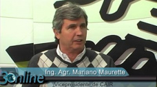 30 online: En cunto se estn cerrando los arrendamientos en Soja?; con M. Maurette