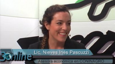 30 online: Cmo volver a tener competitividad y rentabilidad en las Economas Regionales?; con N. I. Pascuzzi