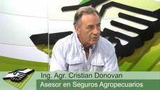 TV: Cuidado con los seguros agrcolas. Conoc los detalles por los cuales podes salir perdiendo; con C. Donovan