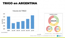 Trigo: mejor el clima para el trigo y bajan los precios; con Lorena DAngelo - Clnica de Granos