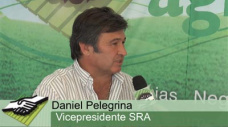 TV: Qu propone la Rural para vender soja con gen Intacta, sin problemas?; con D. Pelegrina