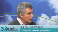 30 online B5: Cmo tomar buenas decisiones agropecuarias en una campaa bisagra?; con Teo Zorraqun