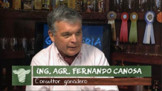 Ganad.TV B1: 