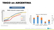 Trigo: antes de las lluvias los precios subieron y ahora que va a pasar?; con Lorena DAngelo - Clnica de Granos