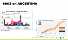 Maz: Avanzan las siembras del cereal, pero cunto se sembrar?; con Lorena DAngelo - Clnica de Granos