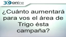 30 online B4: Cunto aumentar el rea y la produccin de Trigo sta campaa?; con R. Bindi y C. Curci