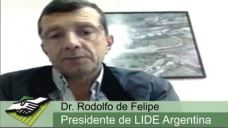 TV: Cmo ser el debate de los referentes del Campo de Scioli, Macri y Massa