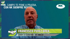 Qu va a pasar con las siembras tardas de Maz y el monitoreo de Chicharrita?; con F. Prez Brea - NK Semillas