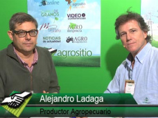 TV: A los productores el anuncio en Trigo no nos mueve el ampermetro; con A. Ladaga - Productor