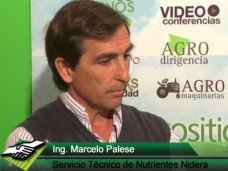 TV: Ajustando bien la fertilizacin sin limitarnos solo a nitrgeno y fsforo; con M. Palese - Nidera Nutrientes