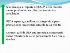 TV: En el Maz, podr el reporte del USDA revertir la tendencia?, por Paulina Lescano - Clnica de Granos