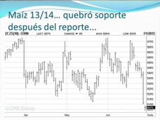 TV: Porqu el reporte del USDA le juega en contra al Maz?, por Paulina Lescano - Clnica de Granos