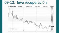 TV: Maz, podr el reporte del USDA mejorar la tendencia?, con Paulina Lescano - Clnica de Granos