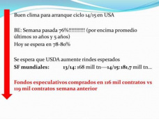 TV: En el Maz los fondos siguen liquidando y presionan los precios; con Paulina Lescano - Clnica de Granos