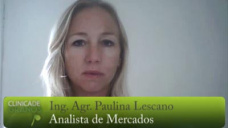 TV: La Soja podr resistir la cada del resto de los granos?; con Paulina Lescano - Clinica de Granos