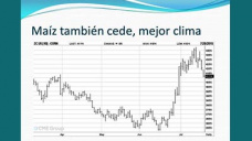 TV: Maz: Localmente mayor inters de compradores, poca mejora de precios ; con Paulina Lescano - Clinica de Granos