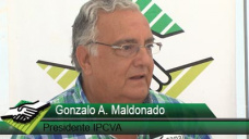 TV: Qu hacemos para que el mundo vuelva a comprar Carne Argentina?; con G. Alvarez Maldonado, IPCVA