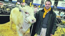 La raza Shorthorn ha manifestado un crecimiento en los ltimos 20 aos