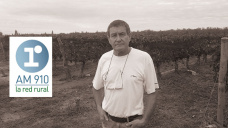 Luis Bruno - productor de uva malbec