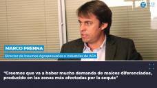 Marco Prenna, director de Insumos Agropecuarios e Industrias de ACA