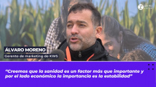 lvaro Moreno, gerente de marketing de KWS.