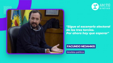 Facundo Nejamkis, analista poltico. 