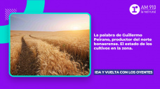 Ida y vuelta con los oyentes La palabra de Guillermo Peirano, productor del norte bonaerense. El estado de los cultivos en la zona.