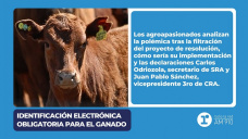 Identificacin electrnica obligatoria para el ganado