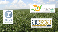 Editorial Martes 09-06-2015 - Dos seminarios para NO faltar: Sorgo y Soja en las Bolsas