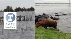 Testimonios de productores afectados por las inundaciones