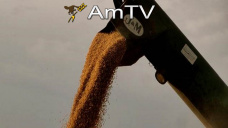 AMTV: Hoy se publicar el reporte trimestral del USDA, el ltimo sobre stocks de campaa 13/14