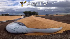 AMTV: Sube la soja y entran en toma de ganancias los cereales