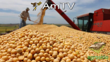 AMTV: Subas de petrleo y aceite de soja. Mercado se prepara al informe USDA