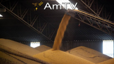 AMTV: Pocas variaciones en CBOT. La cosecha de Soja de nuestro pas ser rcord