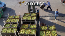 AMTV: Incertidumbre por lluvias en EEUU y suba de precios locales de soja