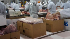 AMTV: Mercado a la espera de reporte del USDA. Baj la calidad de maz 