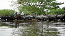 AMTV: La soja quebr la barrera de los 900 puntos. El clima no ayuda en EEUU