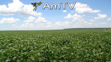 AMTV: Muy buenas exportaciones de EEUU. Datos de Agroindustria sobre produccin argentina