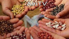 AMTV: Comisin de Agricultura recibi proyecto de Ley de Semillas. Paulatino ascenso de temperatura