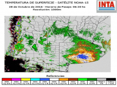 AMTV: Hel en varias localidades del pas. Soja vuelve a abrir con alzas, ya en torno a los u$s 371