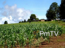 PMTV: 