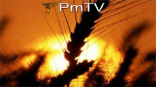 PMTV: 