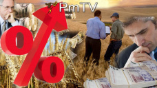 PMTV: La soja, con viento a favor por las exportaciones. Subas para el valor disponible del sorgo y la cebada en Rosario