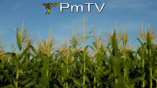 PMTV: La soja finaliz con mermas. Se mantienen las proyecciones de produccin en Argentina