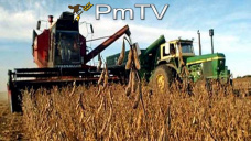 PMTV: Soja con cadas de U$S 4/Tn y el trigo baj U$S 3,5/Tn