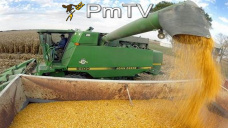 PMTV: Soja con cadas de u$s 6/Tn., maz sin variaciones y trigo con subas