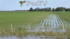 PMTV: Subas de U$S 8/Tn para soja y de U$S 1/Tn en maz y trigo