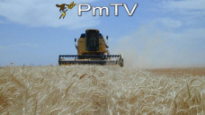 PMTV: Escasas variaciones al alza de soja. Expectativa por menor produccin de oleaginosa en Brasil